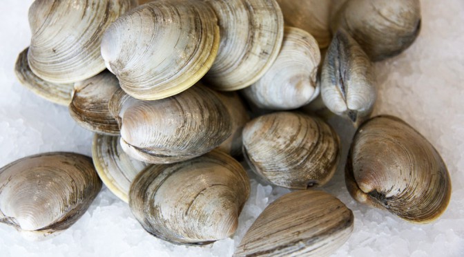 Vitamin B12 (cobalamin)