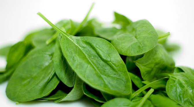 Folic Acid / Folate (Vitamin B9)